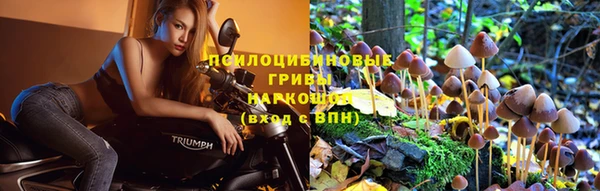 мет Володарск